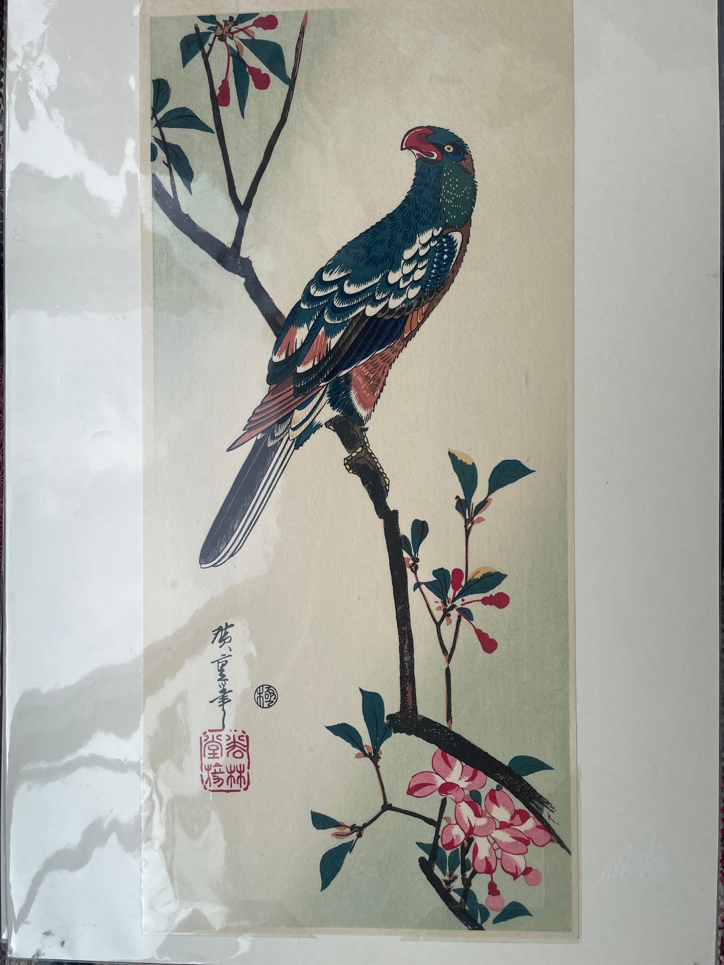 Vintage Print - Bird on Cherry Branch