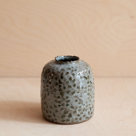 Course Clay Vase with Green Leaf 02 by Zhang Min