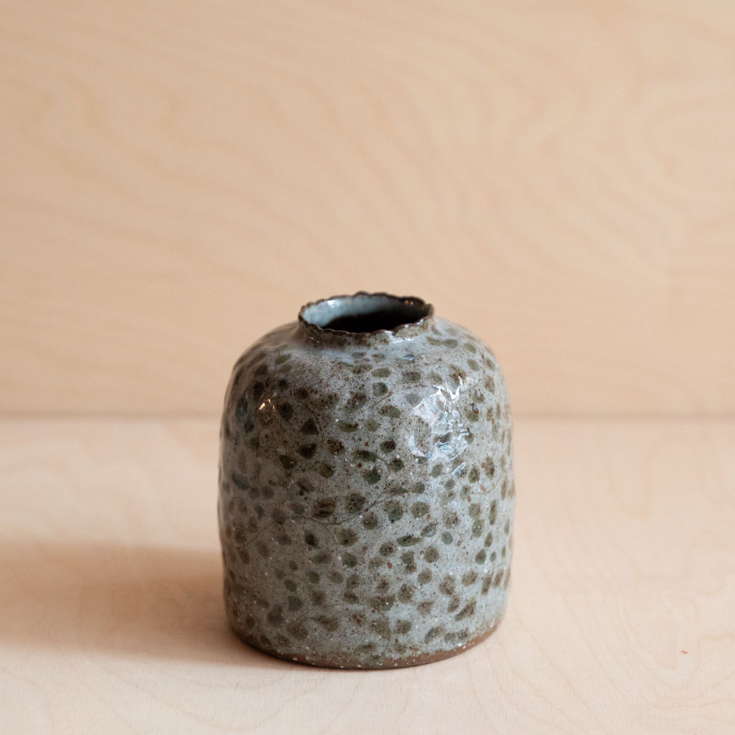 Course Clay Vase with Green Leaf 02 by Zhang Min