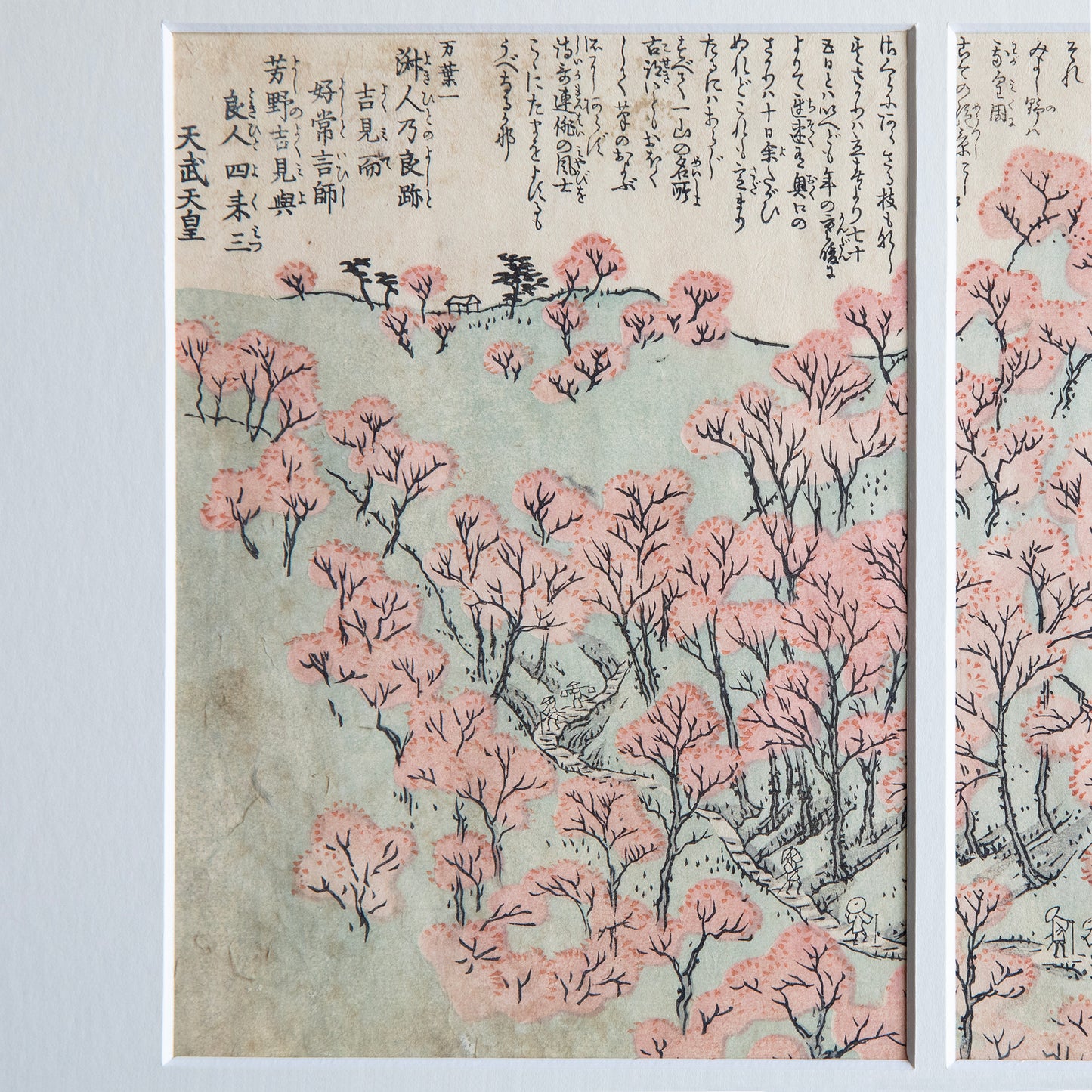 Vintage Print - Valley with Blossoming Trees