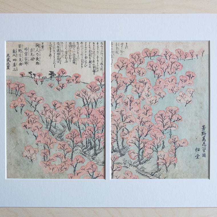 Valley with Blossoming Trees
