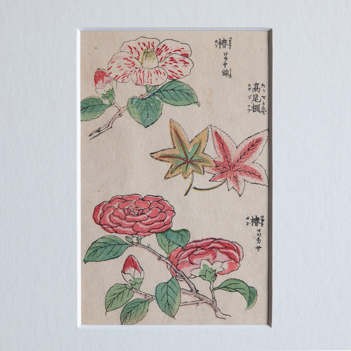 Japanese Antique Vintage Prints