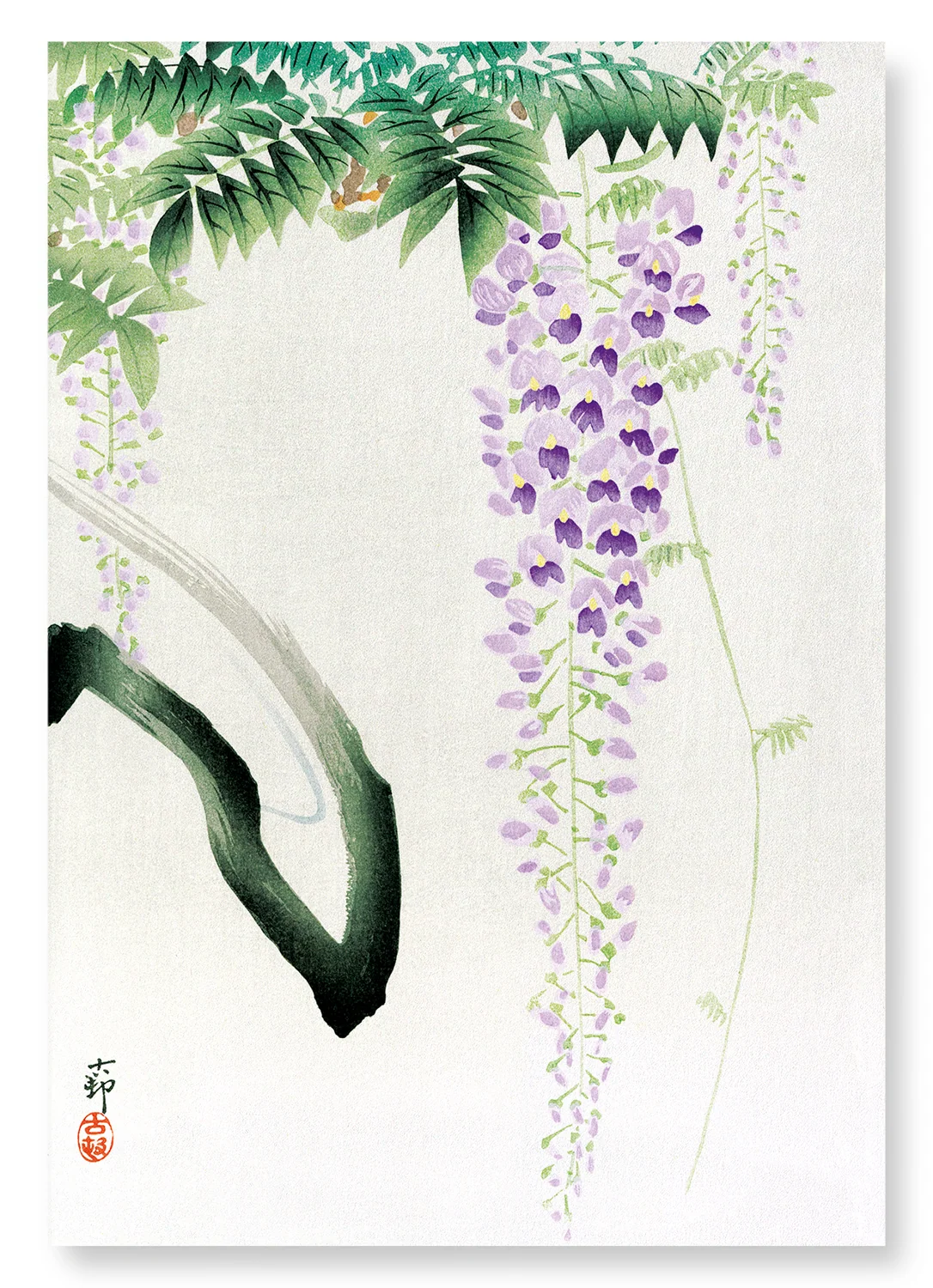Wisteria | Size A4