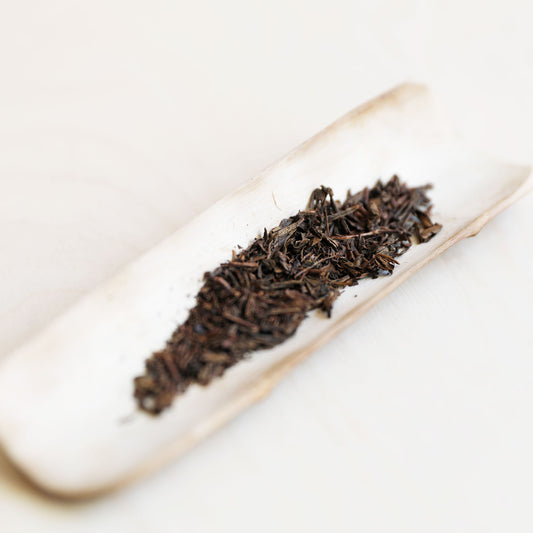 Japanese Kuki Hojicha