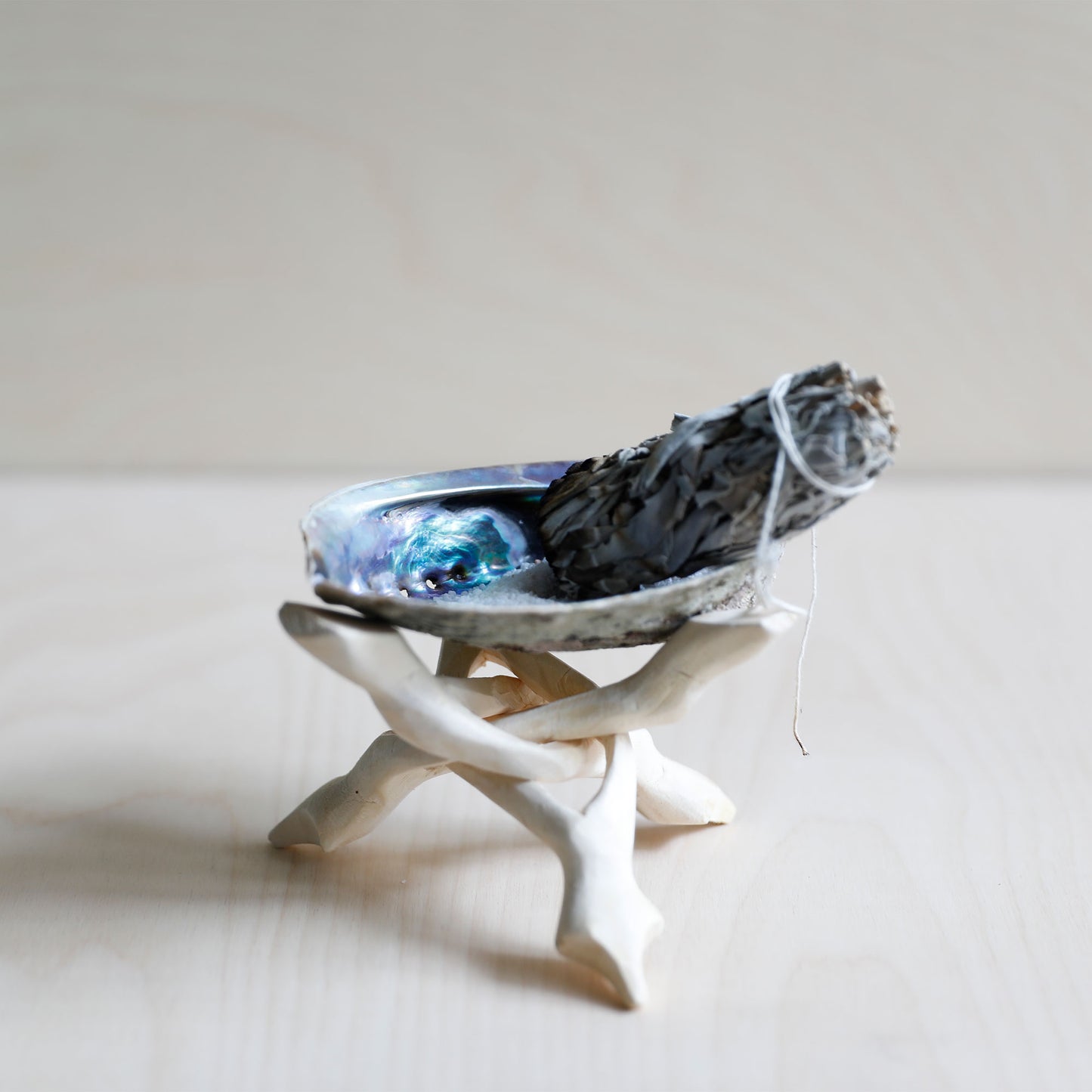 California White Sage (8-10 cm)