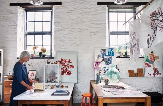 Seaweed: Foraging Collecting Pressing