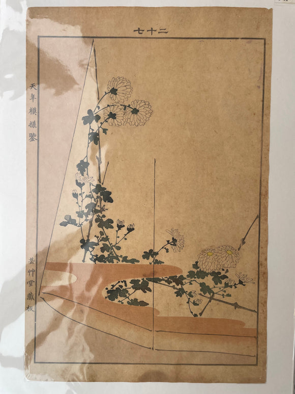 Kimono Hem - Chrysanthemum