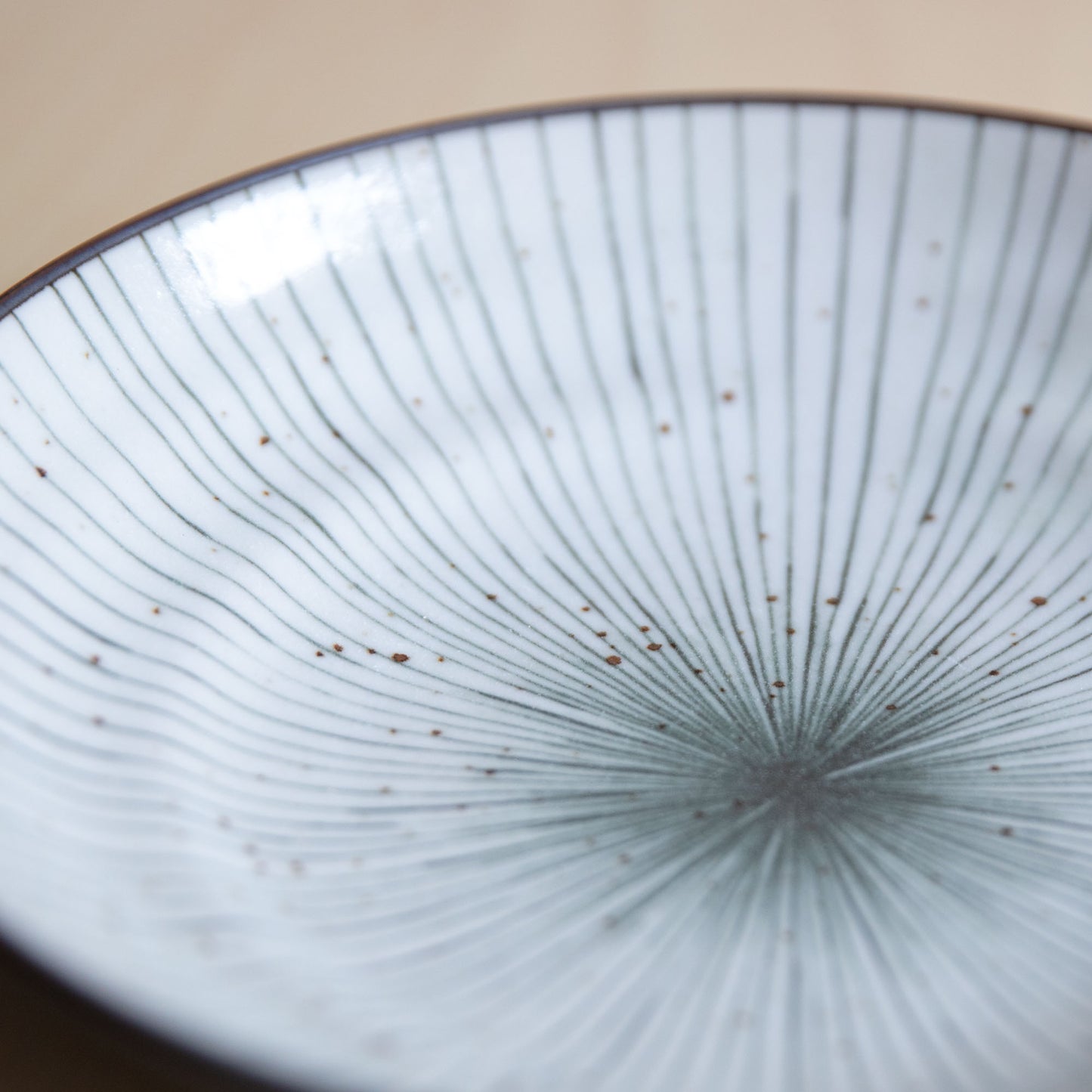 Tokusa Glaze Ceramic Pasta Bowl