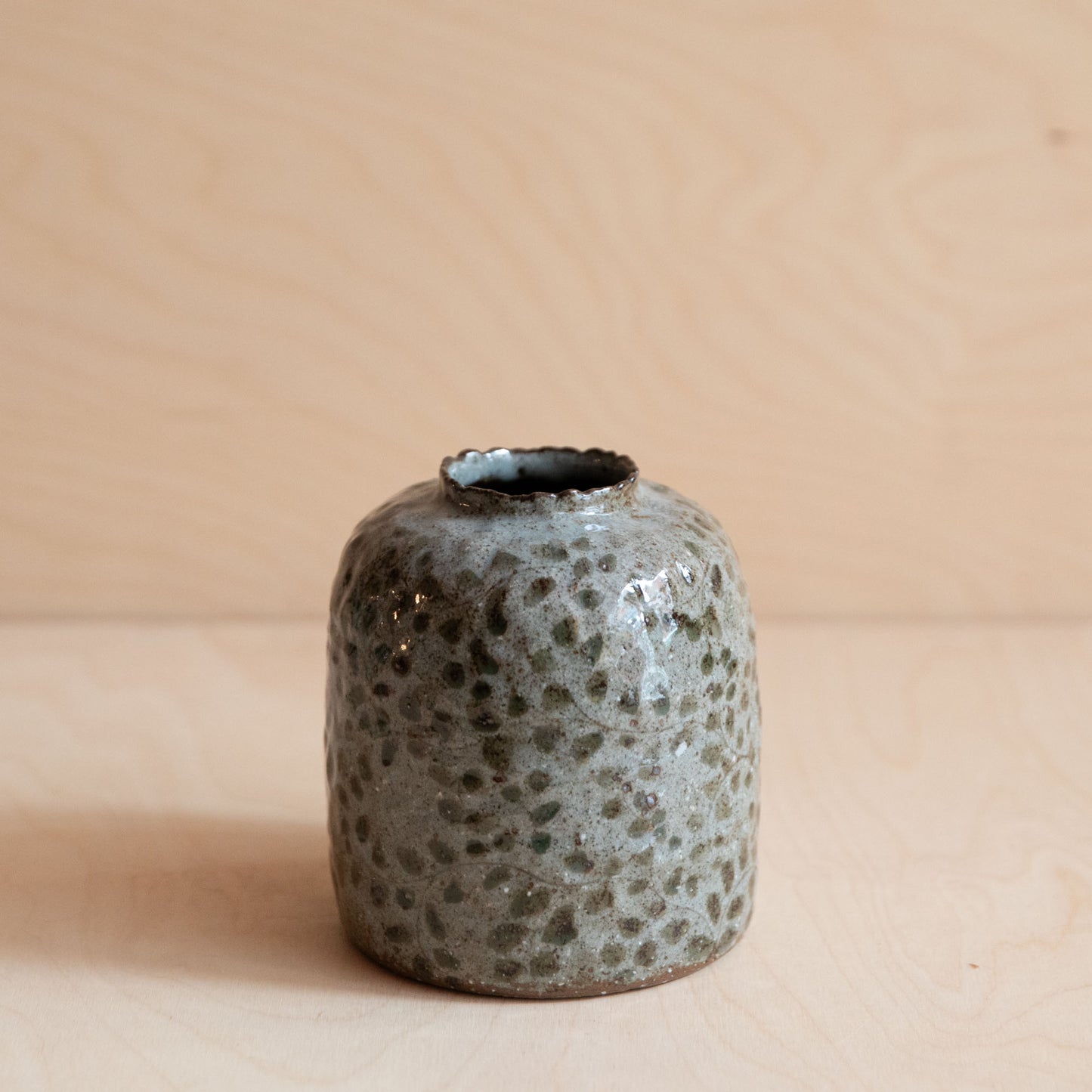 Course Clay Vase with Green Leaf 02 by Zhang Min