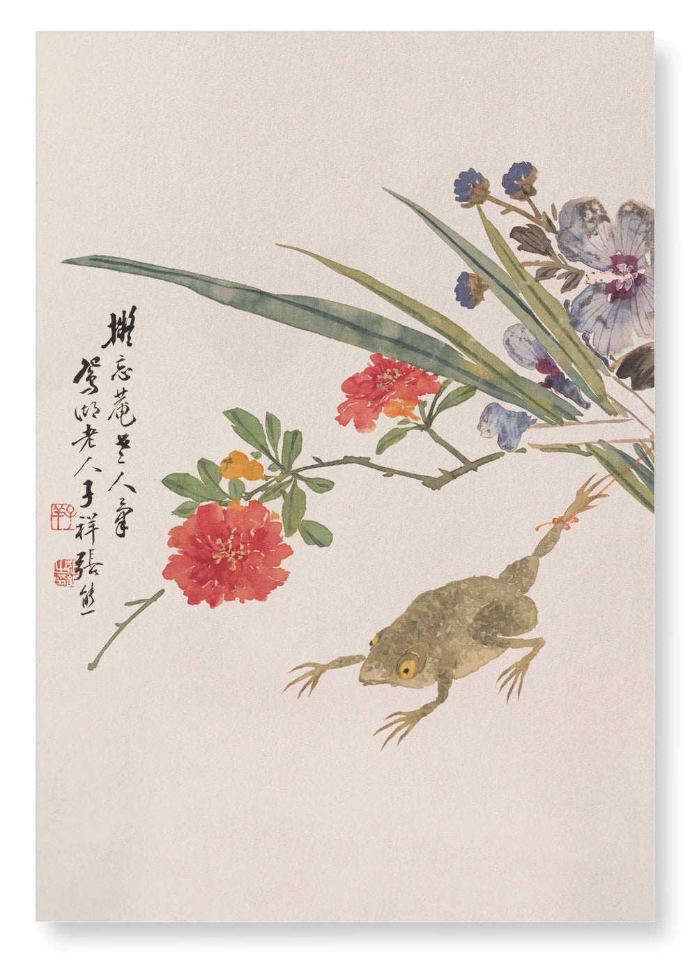 Flower and Toad (19TH C) | Size A4