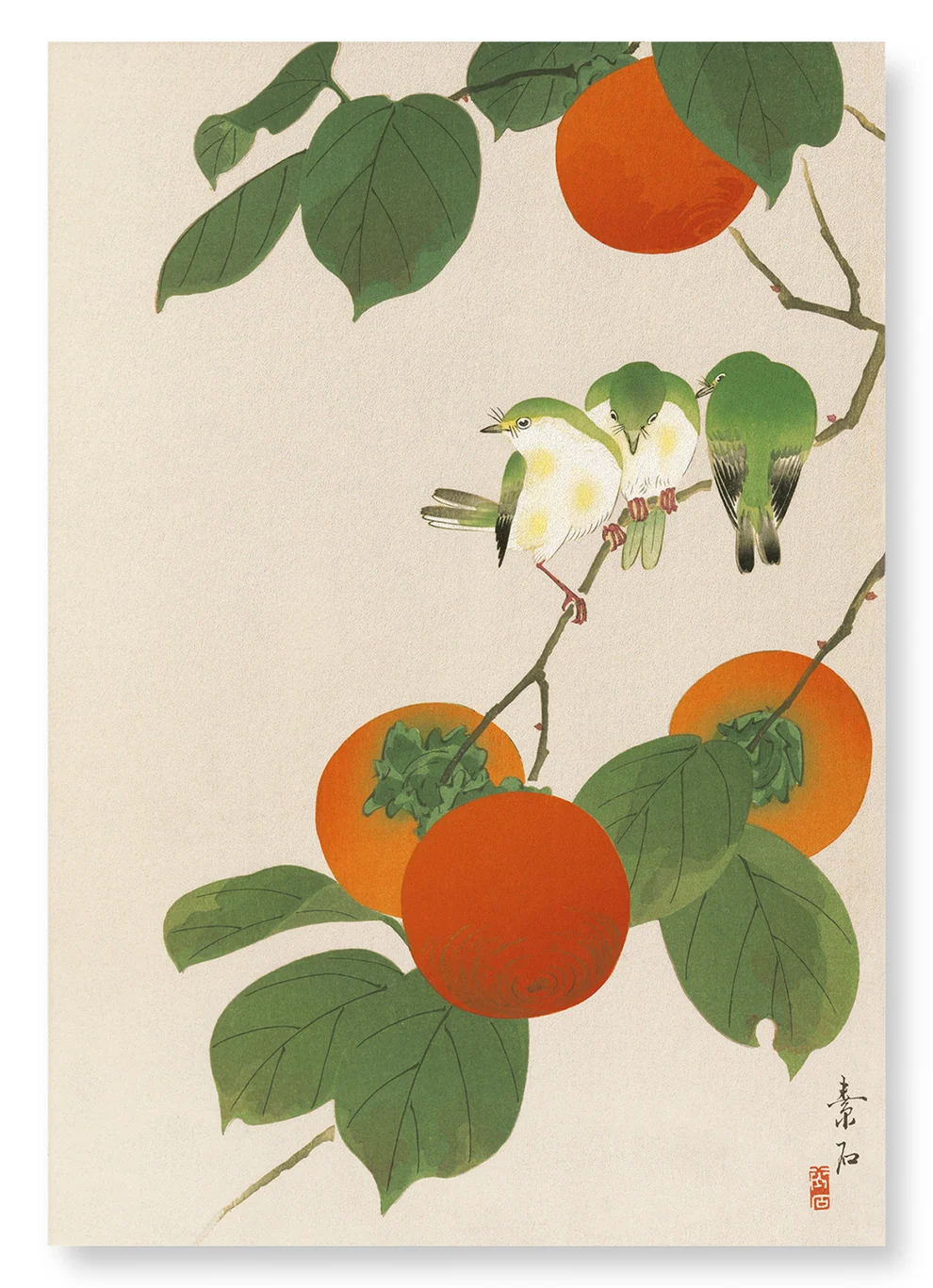 White-eye Birds and Persimmon Fruits | Size A4