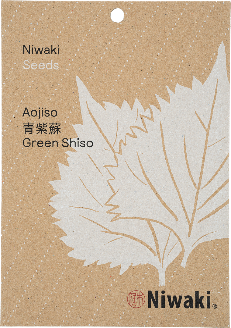 Aojiso Green shiso Seeds