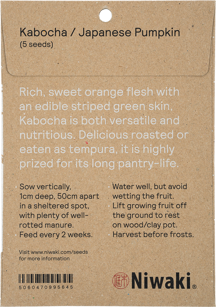 Kabocha Seeds Japanese Pumpkin