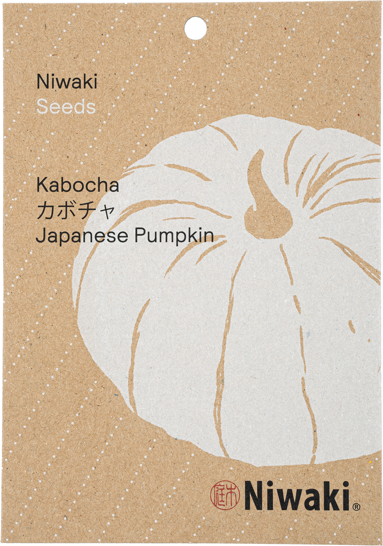 Kabocha Seeds Japanese Pumpkin