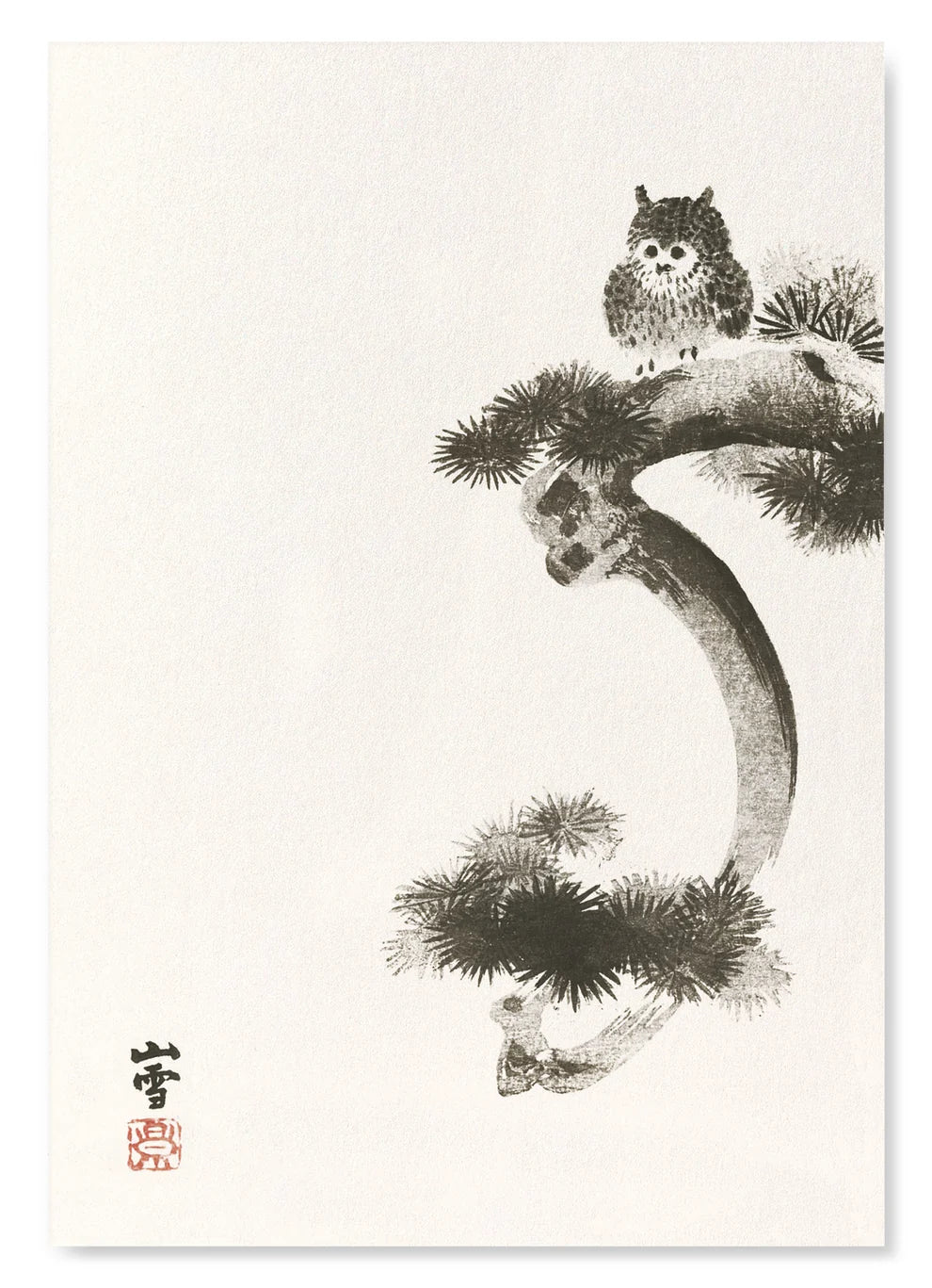 Owl on Pine Tree | Size A4