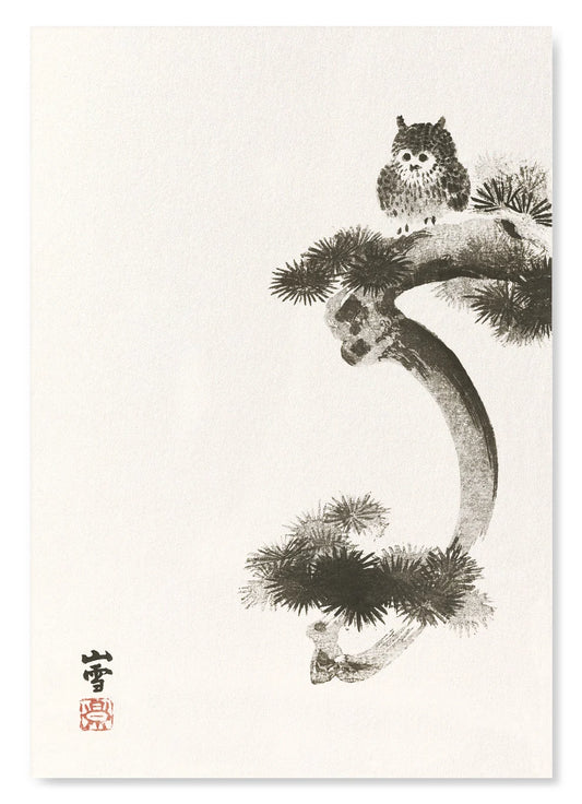 Owl on Pine Tree | Size A4