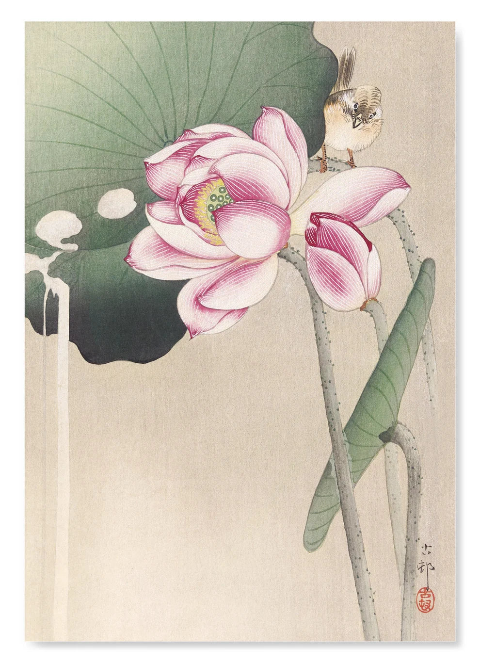 Songbird and Lotus | Size A4