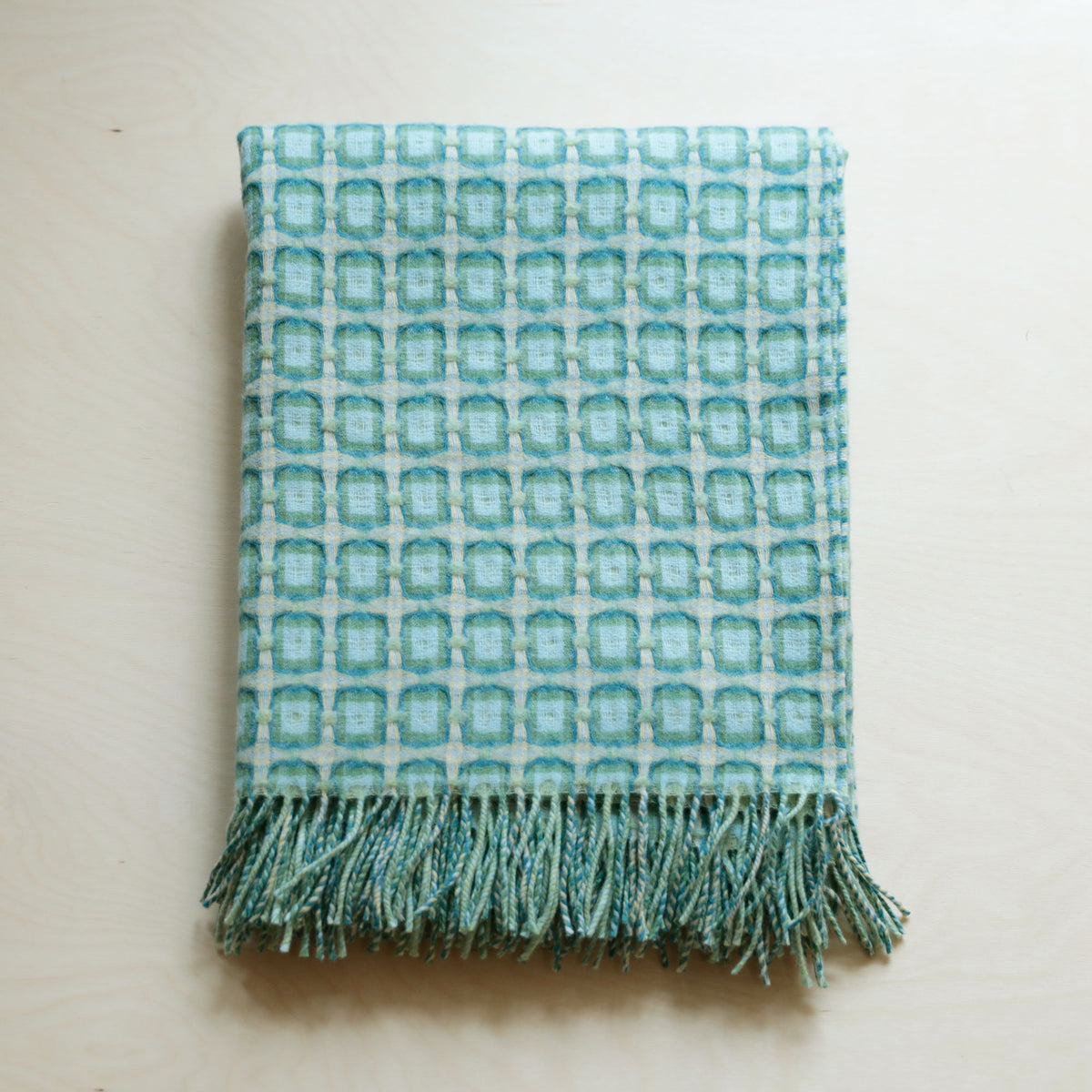Aqua green Basket Weave Throw by Paulette Rollo
