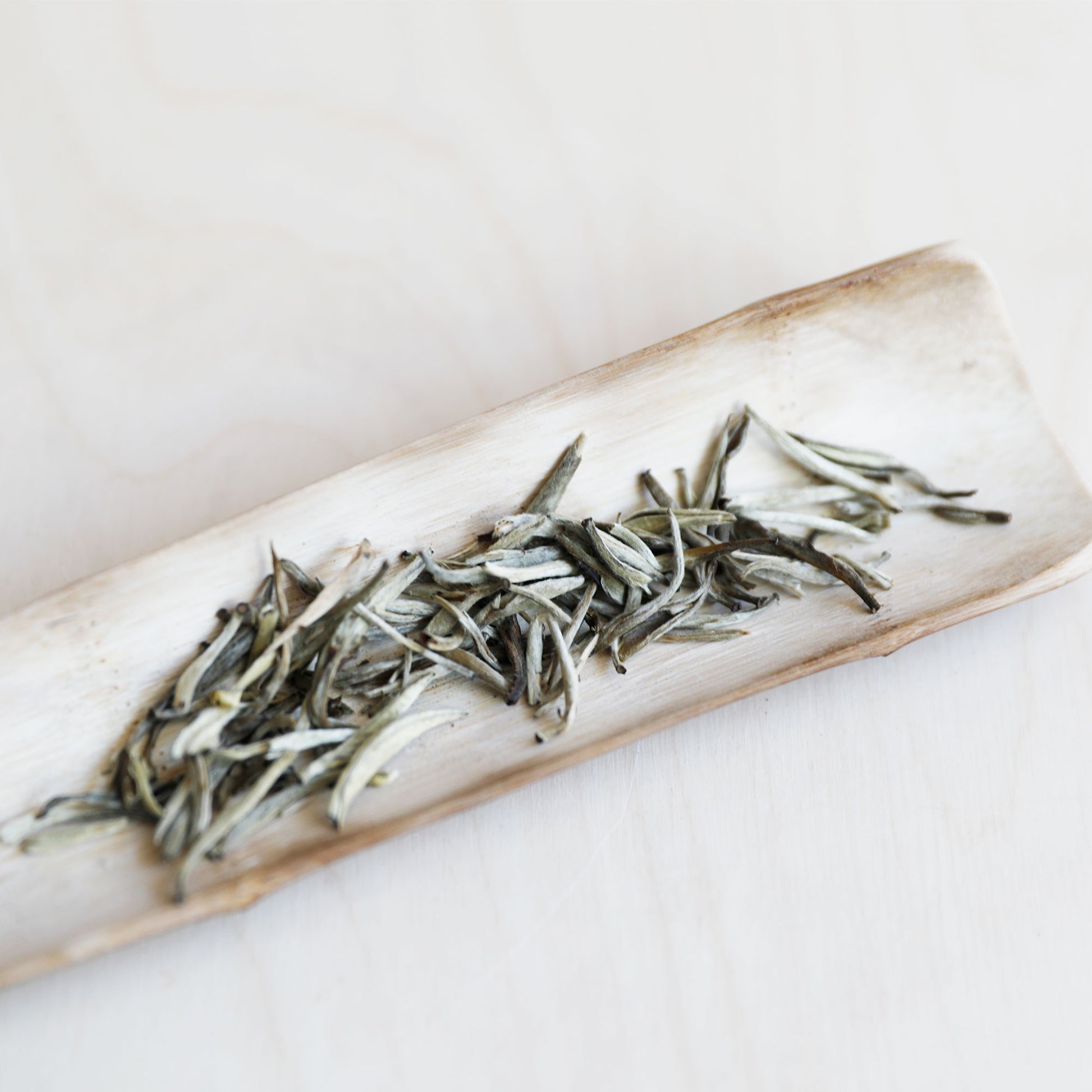 Jasmine Silver Needle - Rouge