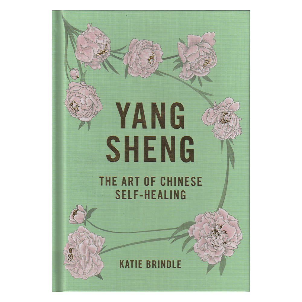 Yang Sheng - The Art of Chinese Self-Healing - Chinese homewares- Rouge Shop antique stores London - city furniture