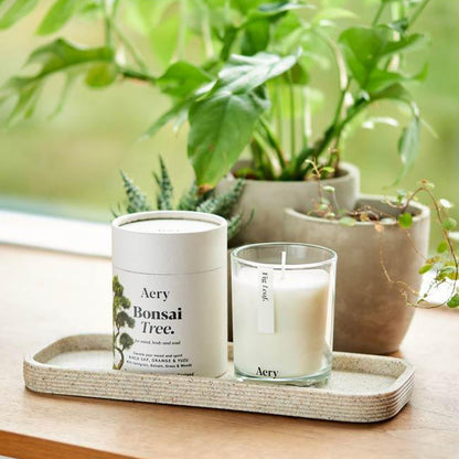 candle tree bonsai Bonsai Tree Scented Candle
