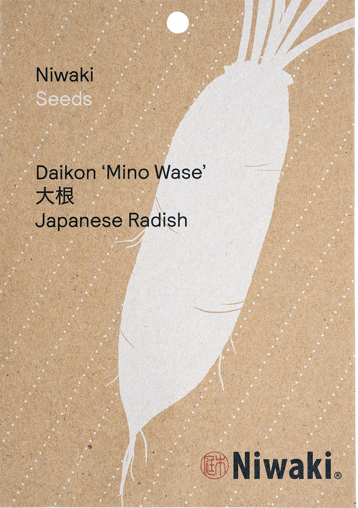 Daikon ‘Mino Wase’ Seeds Japanese Radish
