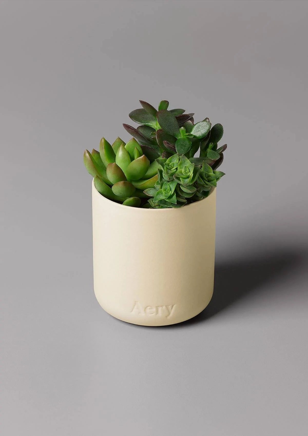 Himalayan Cedarleaf Scented Candle - Cedar Patchouli and Lemon