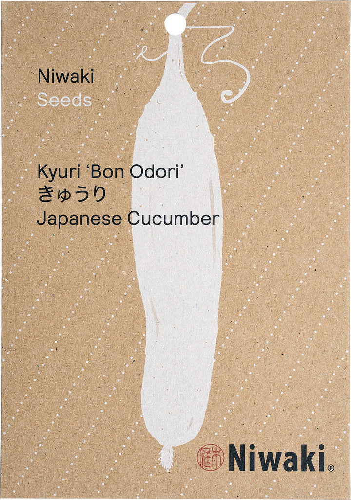 Kyuri ‘Bon Odori’ Seeds Japanese Cucumber