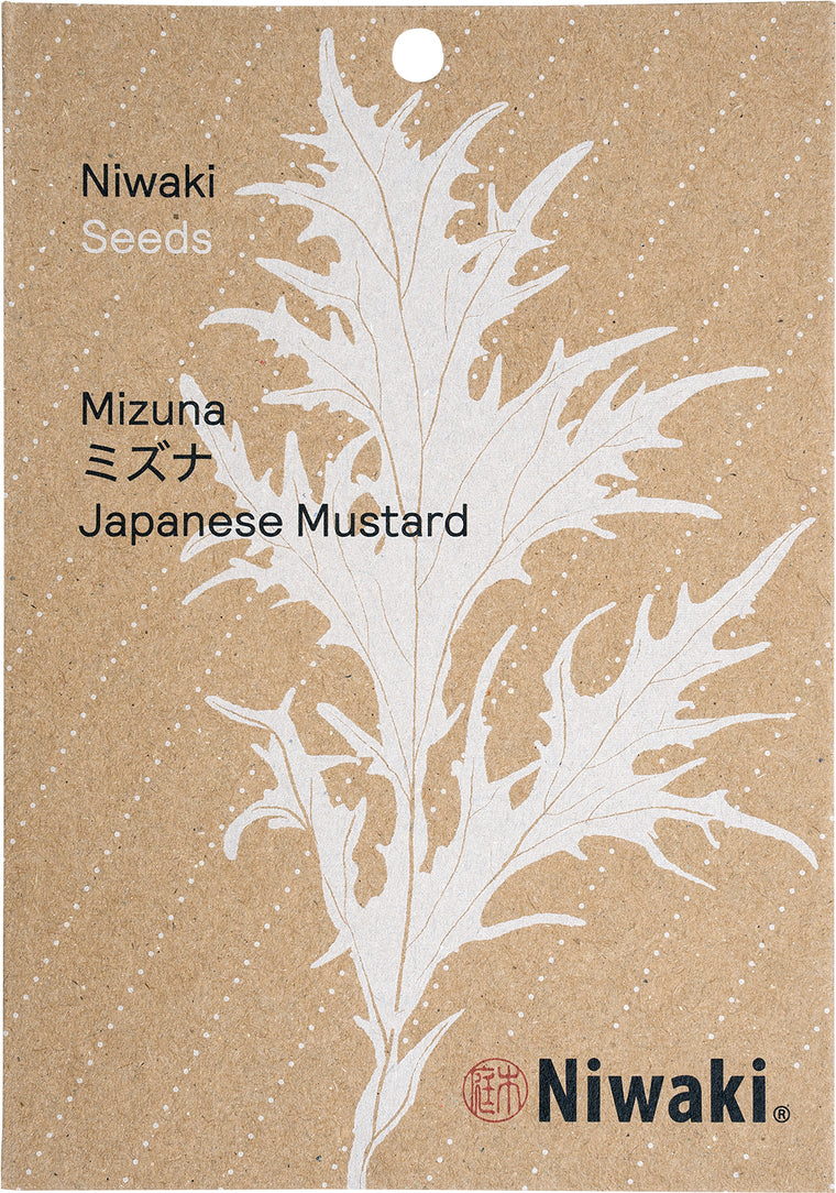 Mizuna Seeds Japanese Mustard
