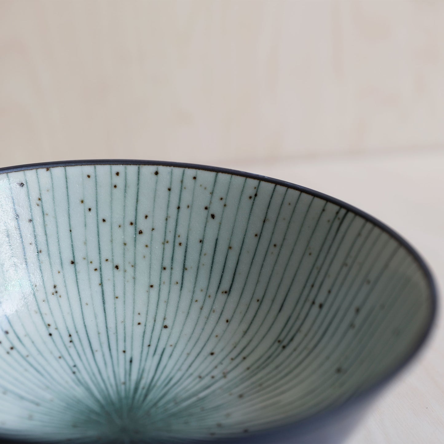 Tokusa Glaze Noodle Bowl
